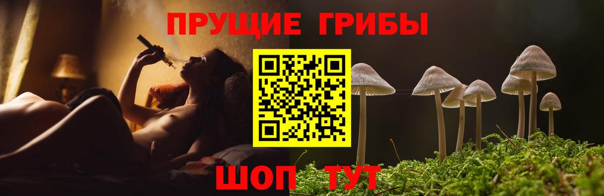 Галлюциногенные грибы прущие грибы Луховицы